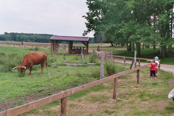 Radtour 2013